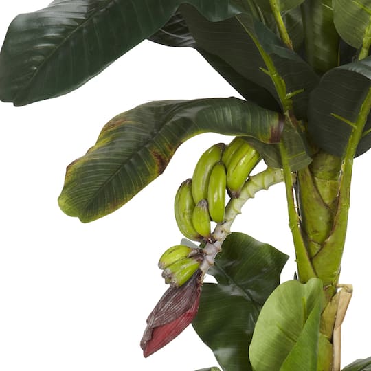 5ft. Potted Banana Tree